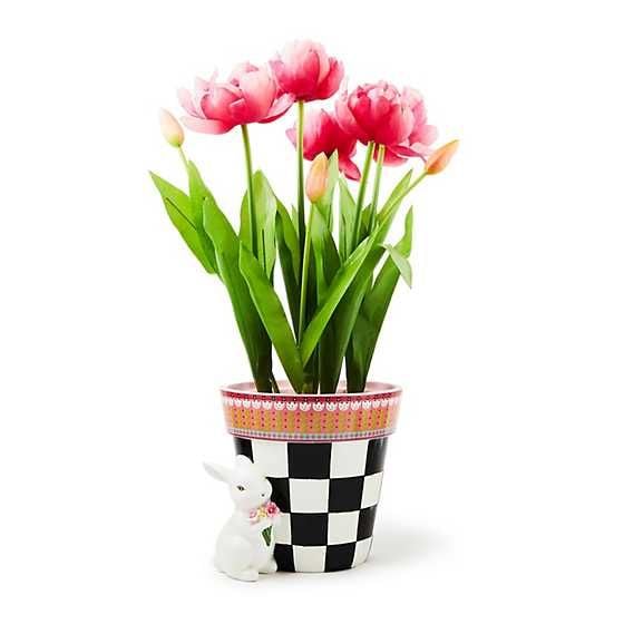 Calico Potted Tulip with Bunny