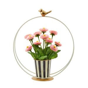 Song Bird Daisy Arrangement