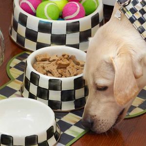 Courtly Check Enamel Pet Dish - Medium