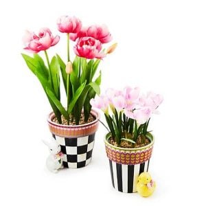Calico Potted Tulip with Bunny