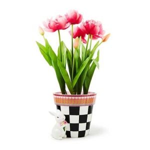 Calico Potted Tulip with Bunny
