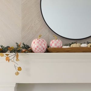 Bubblegum Pink Check Small Pumpkin