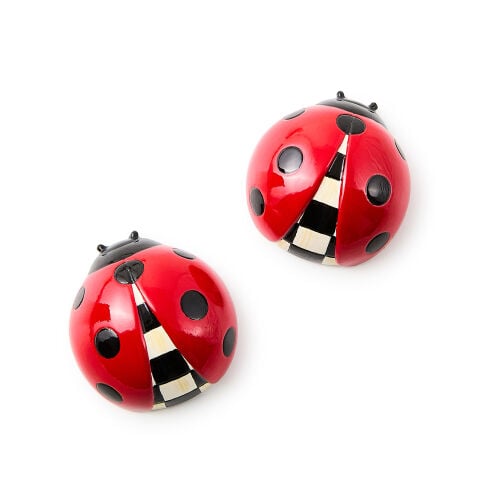 Lady Bug Magnets Set of 2