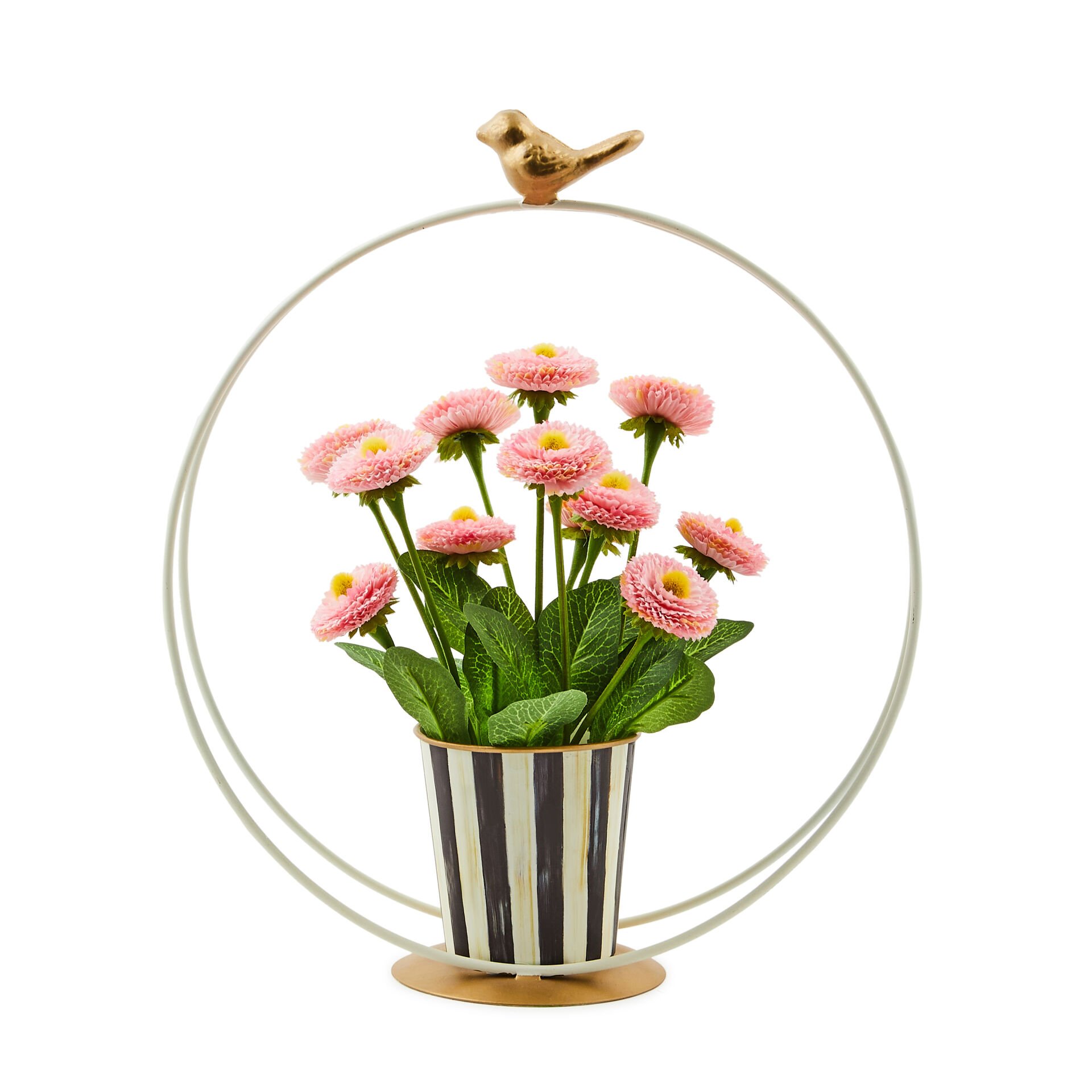 Song Bird Daisy Arrangement