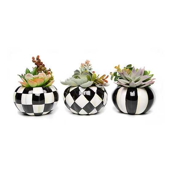 Hen & Chicks Pumpkin - Set of 3