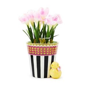 Calico Potted Crocus with Chick