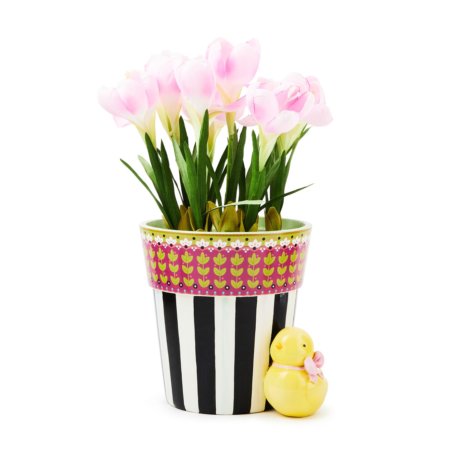 Calico Potted Crocus with Chick