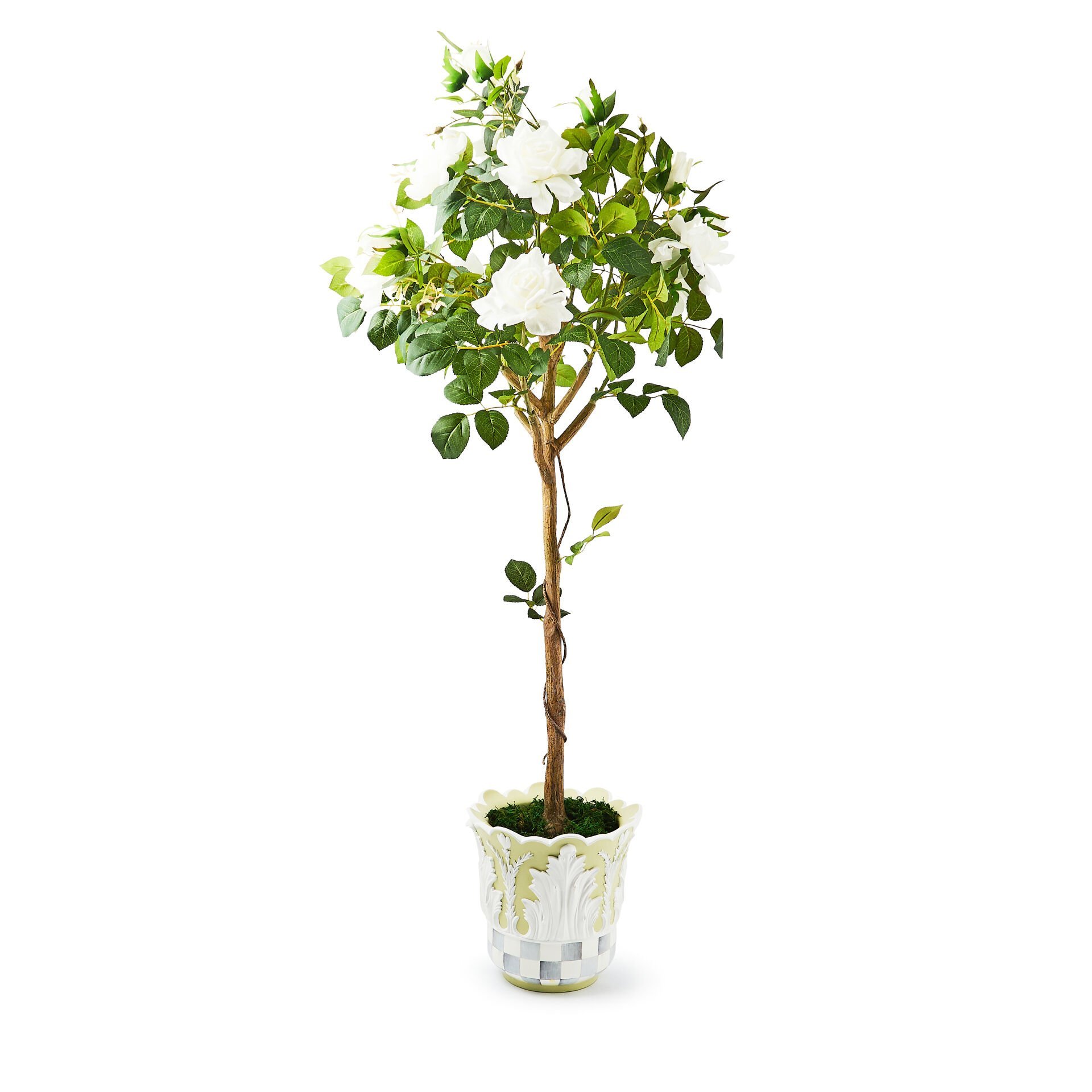 Cameo 52'' Potted Rose Topiary
