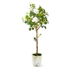 Cameo 52'' Potted Rose Topiary