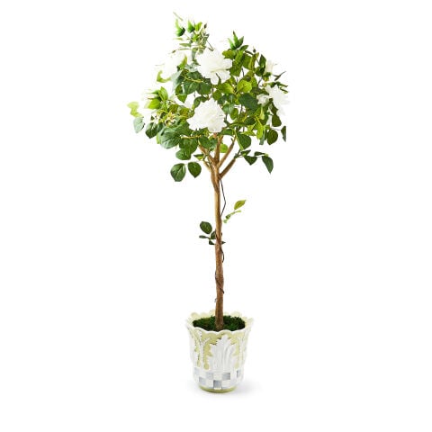 Cameo 132 cm Potted Rose Topiary