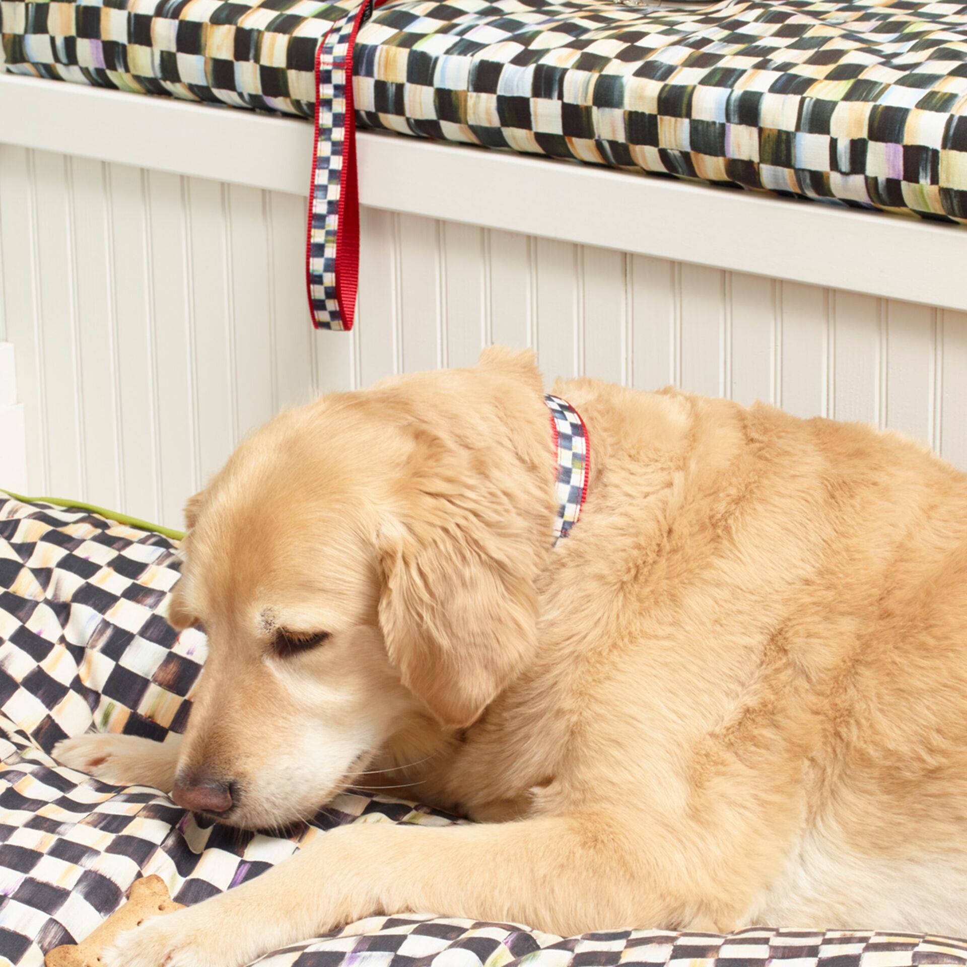 Courtly Check Couture Red Pet Collar - Large