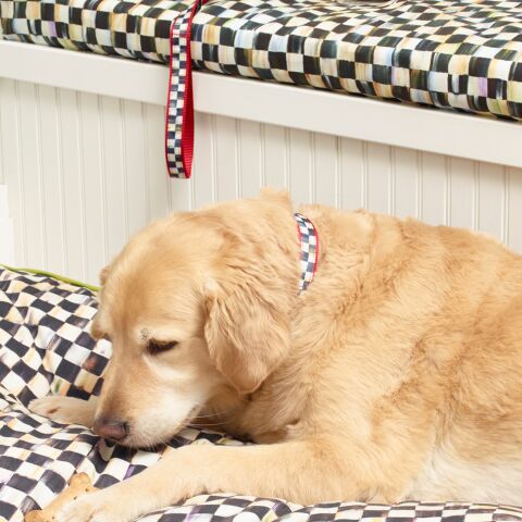 Courtly Check Couture Red Pet Collar - Large