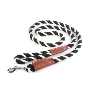 Courtly Twist Pet Lead