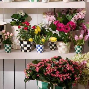 Emerald Check Herb Pots, Set of 3
