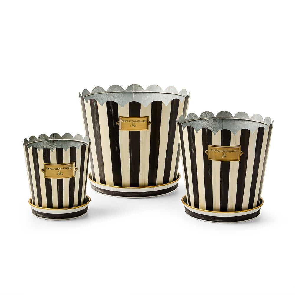 Courtly Stripe Pots & Saucers, Set of 3